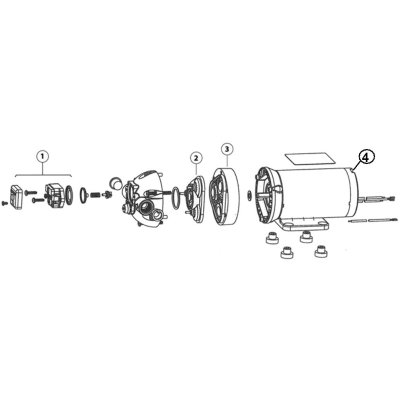 Ventilsatz  EPDM für Flojet R381  Pumpe