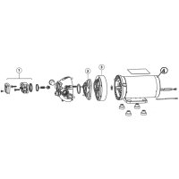 Ventilsatz  EPDM für Flojet R381  Pumpe